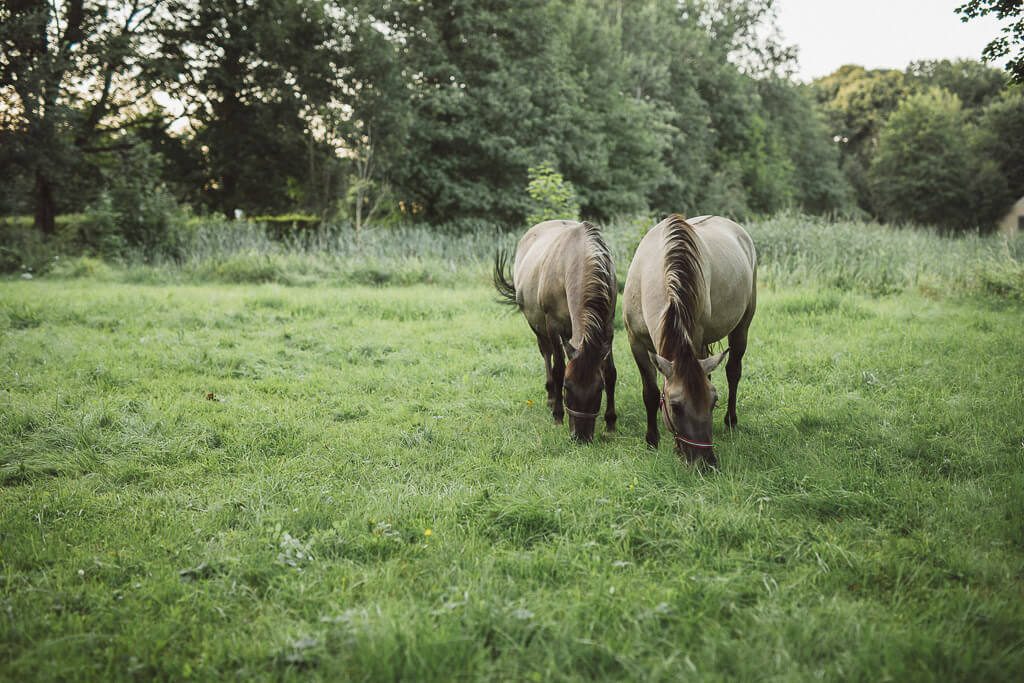 Hochzeitslocation Sachsen