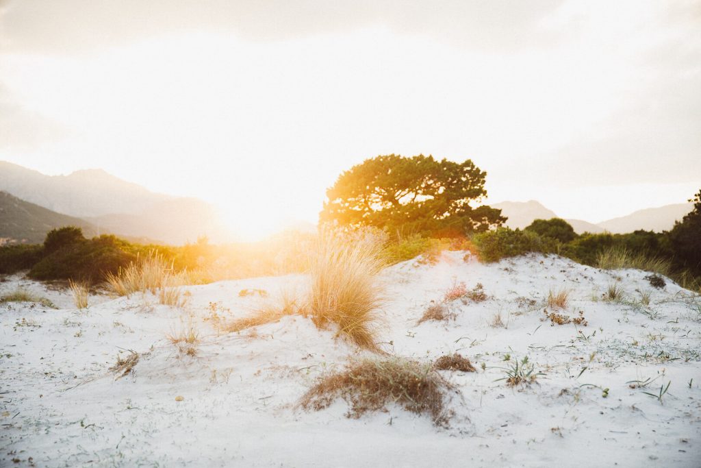 Engagement Fotos Sardinien