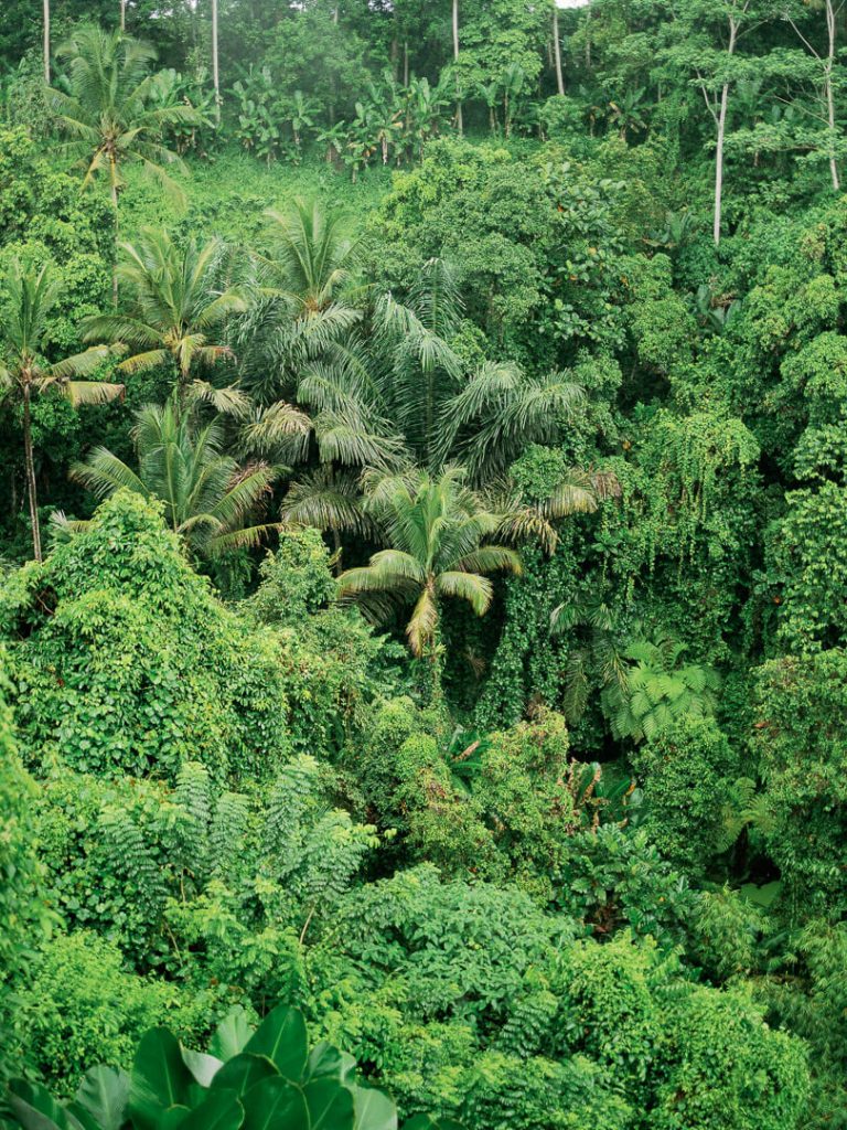 Hochzeitsfotograf Bali