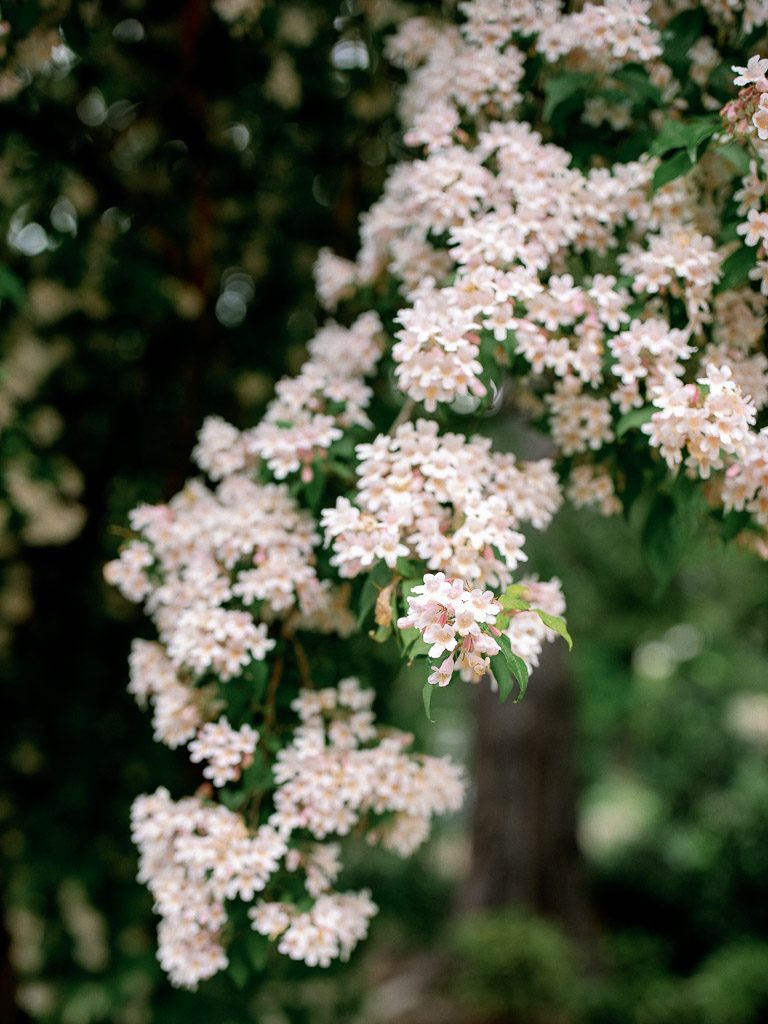 wedding villa balbiano