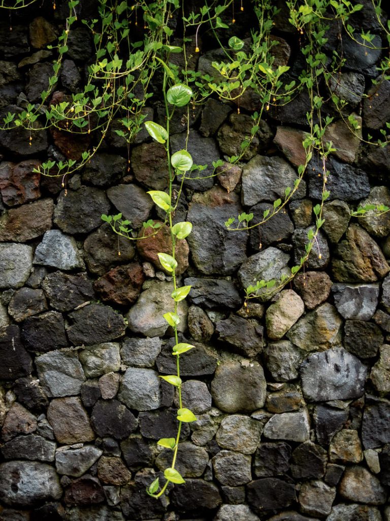 Bali wedding photographer