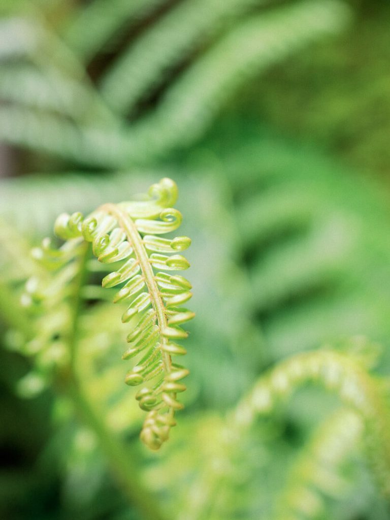 Bali wedding photographer