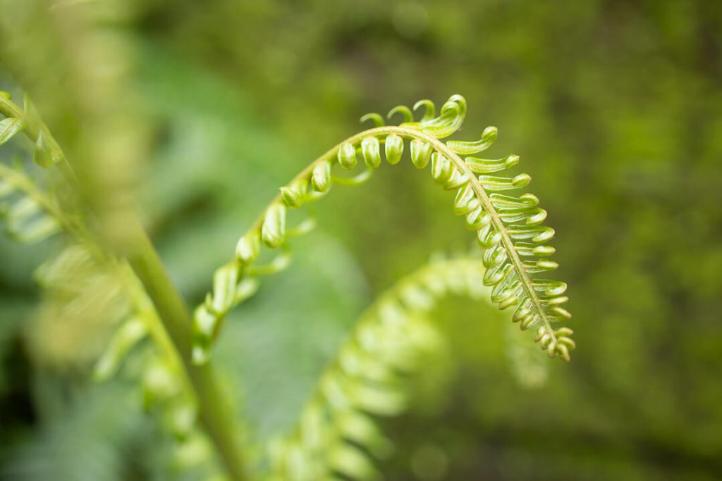 Bali wedding photographer