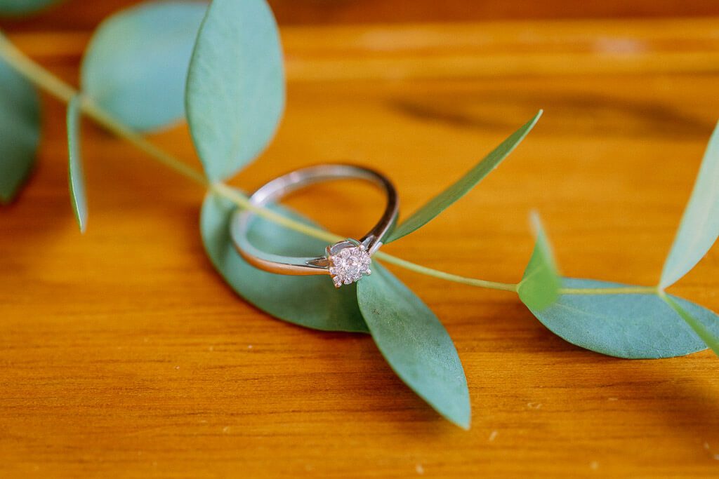 Ehering - Hochzeit Schloss Machern