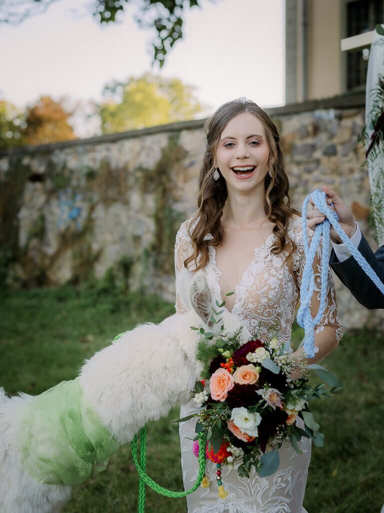 Braut mit Alpaka - Hochzeit Schloss Machern