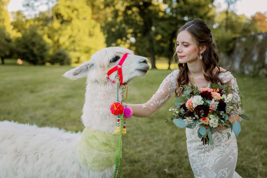 Braut mit weißem Alpaka - Hochzeit Schloss Machern