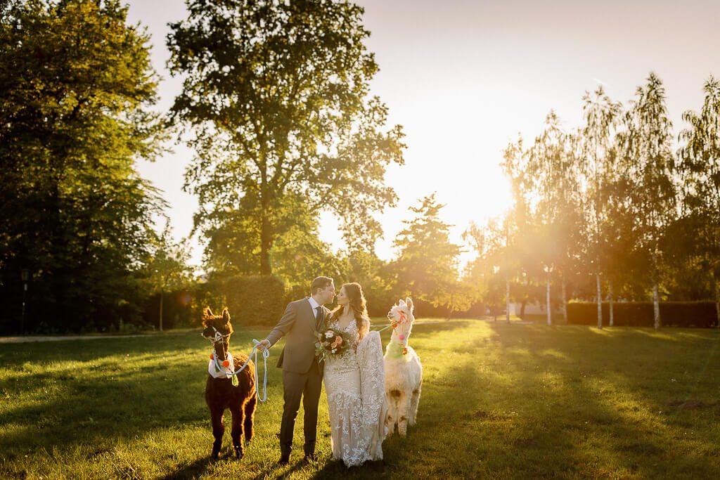 Hochzeitsshooting mit Alpakas - Hochzeit Schloss Machern