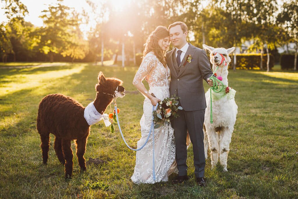 Hochzeitsbilder mit Tieren - Hochzeit Schloss Machern