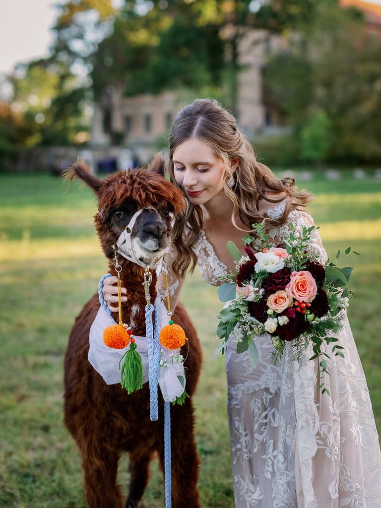 Hochzeit Schloss Machern - Braut mit Alpaka